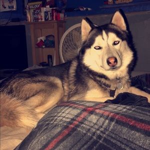 Meet your Posher, Emma